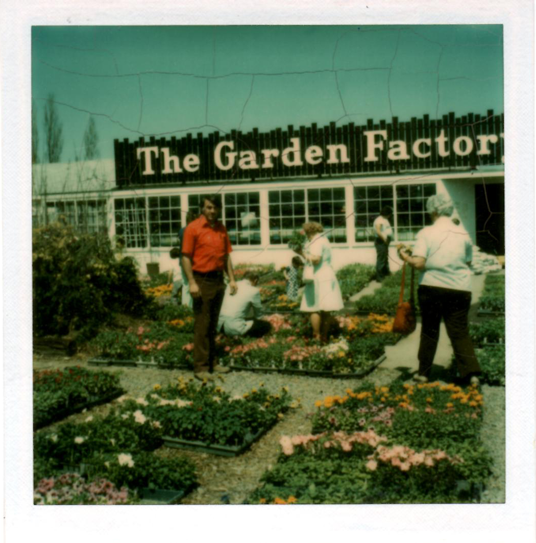 Garden Factory Buffalo Road Fasci Garden