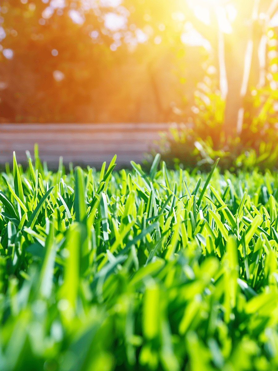 The Garden Factory Home Page