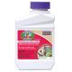 Captain Jack's Deadbug Brew Concentrate 16oz