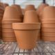 Clay Pot STD 5