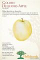 Apple Golden Delicious Semi-dwarf