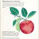 Apple Jonathan Semi-dwarf