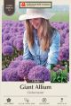 Allium Globe Master 1PK