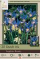 Iris Dutch Sapphire Beauty 20PK