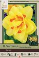 Narcissus Tahiti 8PK