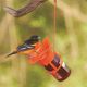 Jelly & Jam Oriole Feeder