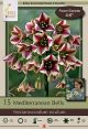 Allium Nectarscordum Bell 12PK