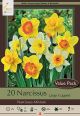 Narcissus Mix 16PK