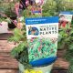 Bleeding Heart Wild 1 Gallon