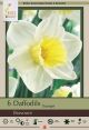 Narcissus Bravoure 7PK
