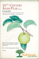 Pear 20th Century Asian Dwarf