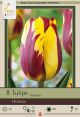 Tulip Helmar 7PK
