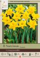 Narcissus Unsurpassable 7PK