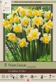 Narcissus Golden Echo 7PK