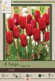Tulip Ariel 7PK