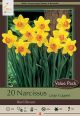 Narcissus Red Devon 16PK