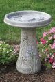 Bird Bath Dragonfly