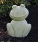 Contemporary Frog 16
