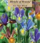Iris Tiger Blend 25PK