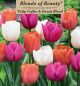 Tulip Coffee & Donut Blend 12PK