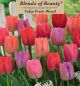 Tulip Pride Blend 12PK
