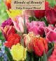 Tulip Fringed Blend 12PK