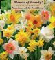 Narcissus All in One 14PK