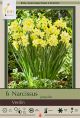 Narcissus Verdin 7PK