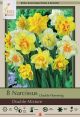 Narcissus Double Mix 7PK