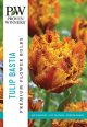 Tulip Bastia 8PK