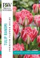 Tulip Ranomi 8 PK