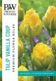 Tulip Vanilla Coup 8PK
