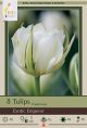 Tulip Exotic Emperor 7 PK