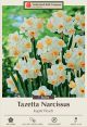 Narcissus Kapiti Peach 7PK