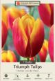 Tulip Hennie Van Der Most 7PK