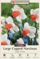 Narcissus Magic Charm 7PK