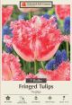 Tulip Neglige 7PK