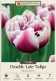 Tulip Ocean Drive 7PK