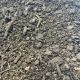 Bulk Topsoil Compost Blend (Per Yard)
