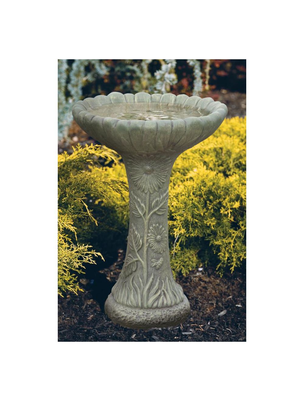 Bird Bath Daisy 1PC
