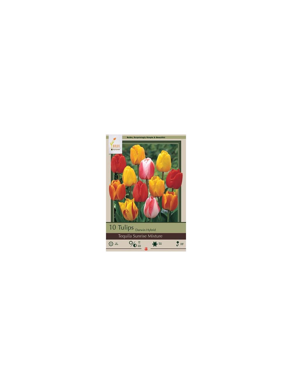 Tulip Tequila Sunrise Mix 10PK