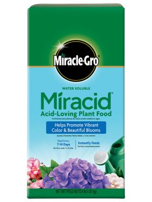 Miracle-Gro Water Soluble Miracid Acid-Loving Plant Food 4LB