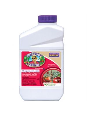 Captain Jack's Deadbug Brew Concentrate 32oz