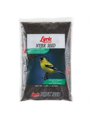 Lyric Nyjer Seed 3lb