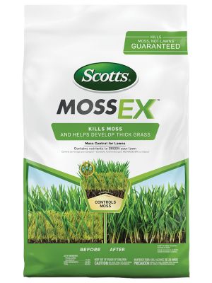 Scotts MossEX 5K