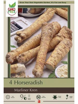 Horseradish Marliner Kren 4pk