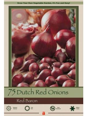 Onion Dutch Red 75pk