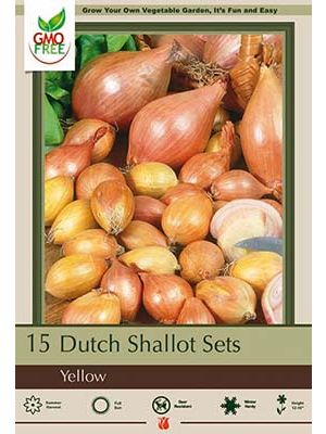 Onion Dutch Yellow Shallots 15PK