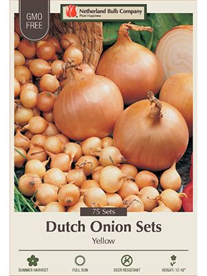 Onion Dutch Stuttgarter Riesen 75Pk