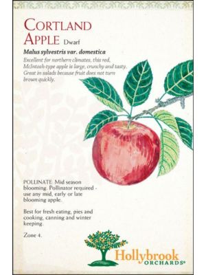 Apple Cortland Semi-dwarf